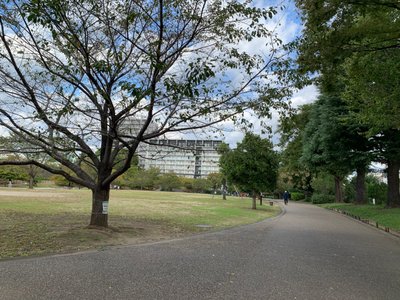 🌳 니시가하라 모두의 공원(니시가하라 민나노 코엔) 이미지 3